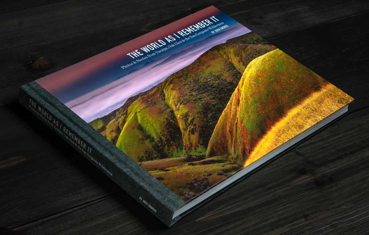 The World as I Remember It – Josh Endres Studios