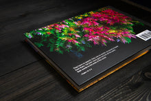 Load image into Gallery viewer, The World as I Remember It - Collectors Edition