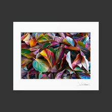 Load image into Gallery viewer, Autumn Leaves
