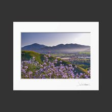 Load image into Gallery viewer, Spring Ceonothus Over Yucaipa
