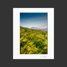 Load image into Gallery viewer, Grassy Spring Sunset
