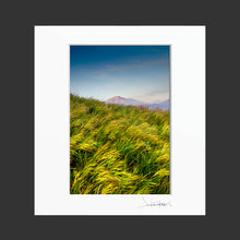 Load image into Gallery viewer, Grassy Spring Sunset
