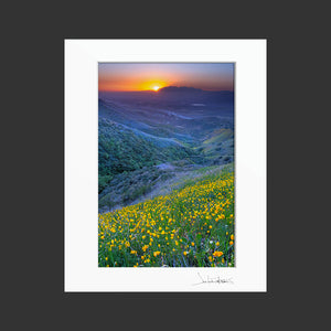 Crafton Hills Wildflowers (Vertical)