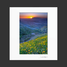 Load image into Gallery viewer, Crafton Hills Wildflowers (Vertical)
