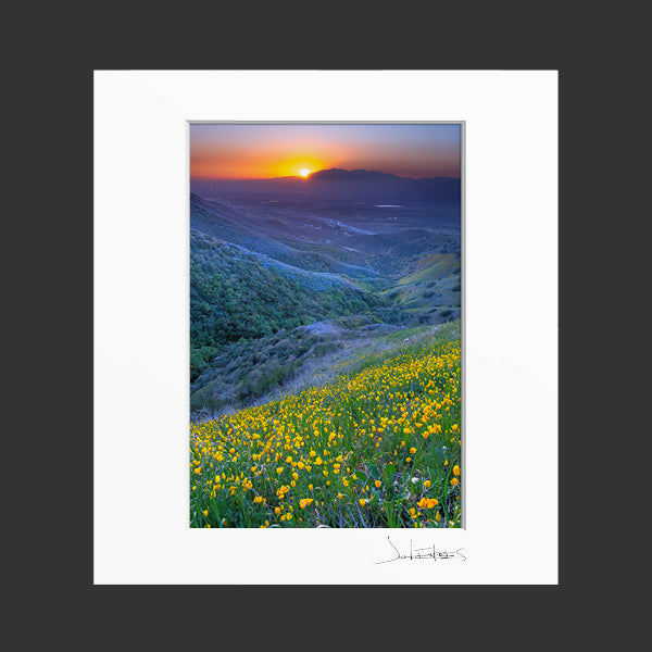 Crafton Hills Wildflowers (Vertical)